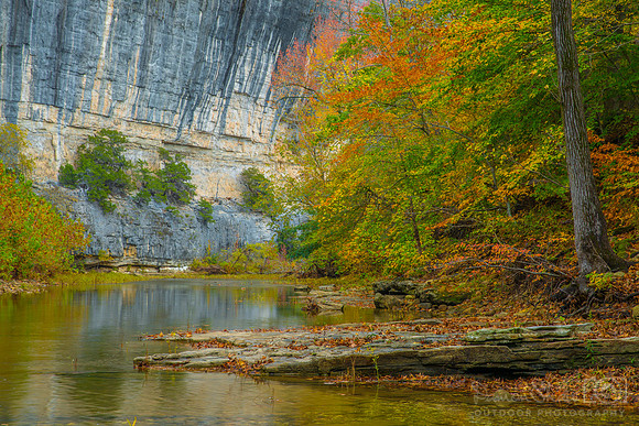 Roark Bluff Fall Colors