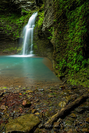 Lush Waterfall
