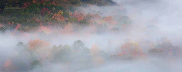 2025-10-30_BRT_Ponca_WildernessPoncaWildernessFog25_2x5