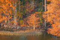 2025-11-15_Harris_Brake_Lake_droneHarrisBrakeGoldNov25_ASW