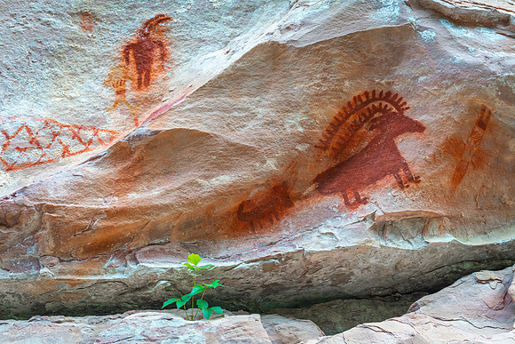 DinosaurRedPetroglyphsWeb