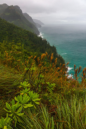 KalalauTrailVertWeb