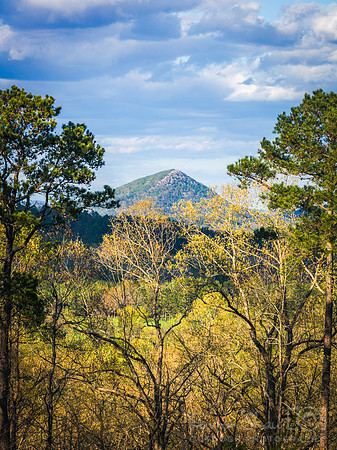 A peek toward Pinnacle Mountain