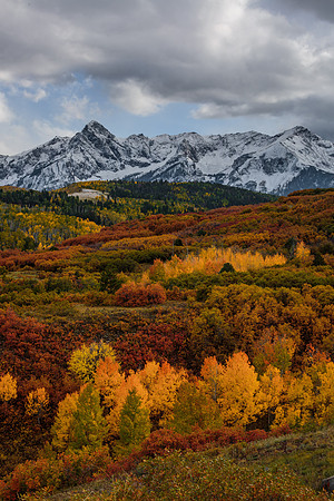 Autumn at Dallas Divide