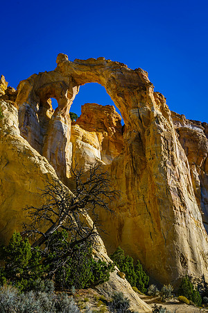 Grosvenor Arch