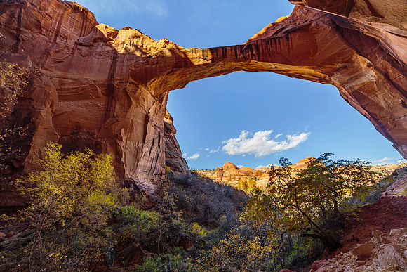 Escalante Bridge