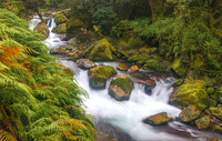 2024-08-24MarianCreekNZ2024Web
