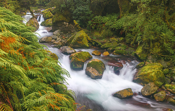 2024-08-24MarianCreekNZ2024Web