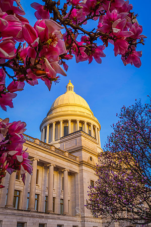 State Capitol in Bloom