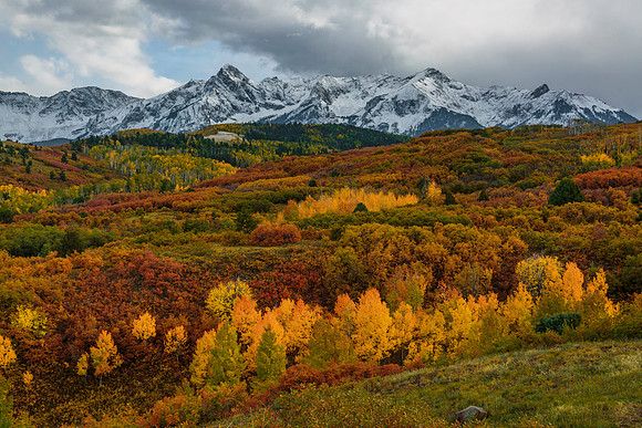 Autumn at Dallas Divide