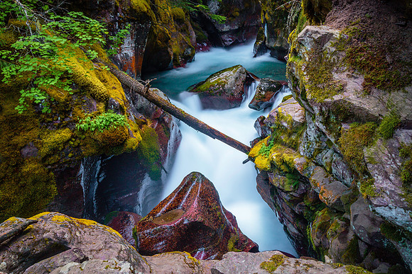 Hidden Waters at Avalanche Creek