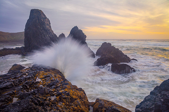 SealRocksWaveOregon