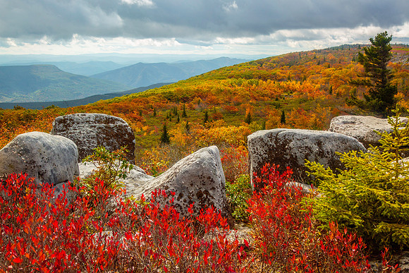 Bear Rocks