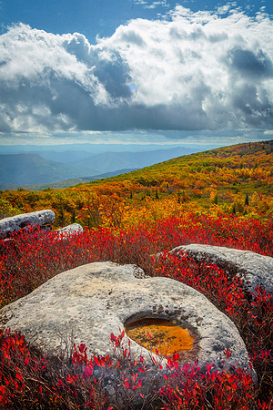 Bear Rocks
