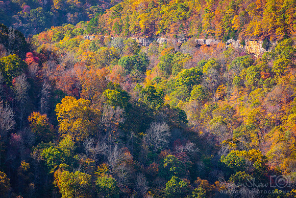 Cloudland Fall Colors