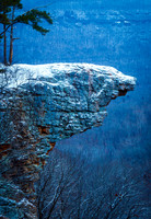 Hawksbill Winter