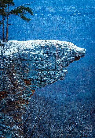 Hawksbill Winter