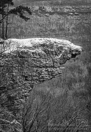 Hawksbill Winter Black & White