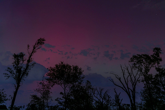 Rogers Aurora Oct1 0,2024