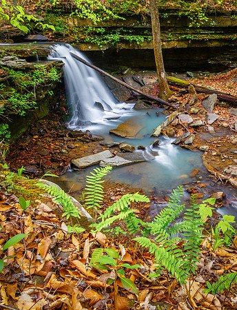 Briar Creek Falls