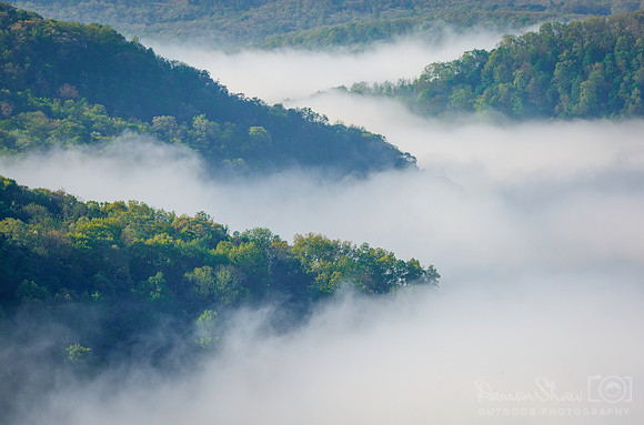 Upper Buffalo Fog