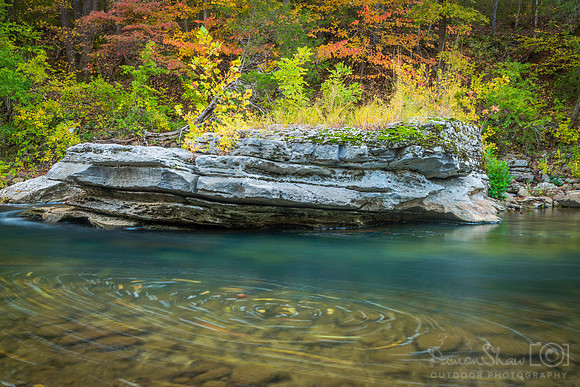 Grey Rock Leaf Swirl on the Buffalo