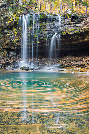 Twin Falls October Leaf Swirl