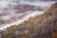 Cloudland Fog 244mm