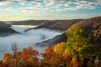 Cloudland Fog in November