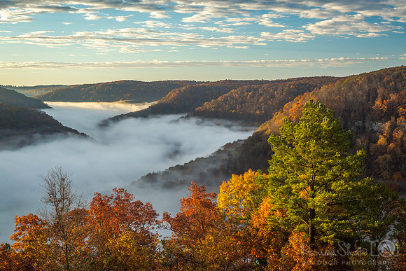 Cloudland Fog in November