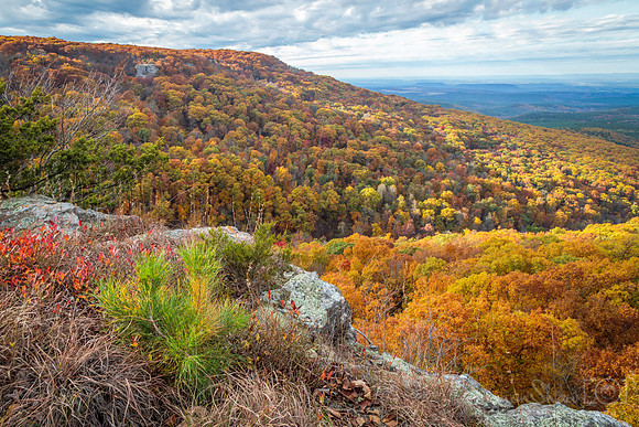Mt Magazine in November