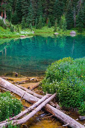Pond at Silver Basin