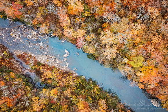 Looking Down onto the Buffalo River in November