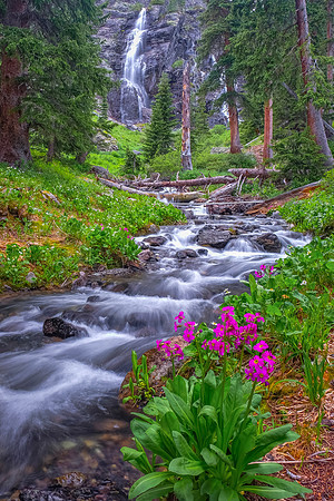 Alpine Bliss
