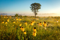Cherokee Prairie