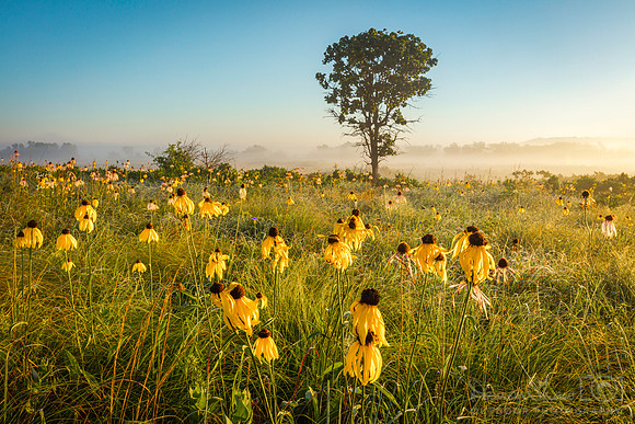 Cherokee Prairie