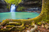 Fiddlehead Falls