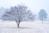 Winter In Arkansas