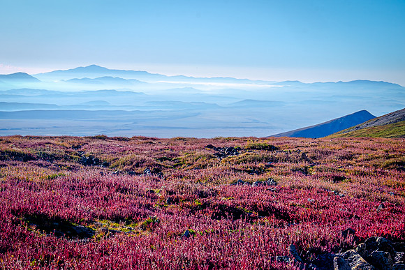 Tundra from Mount Sherman Colorado