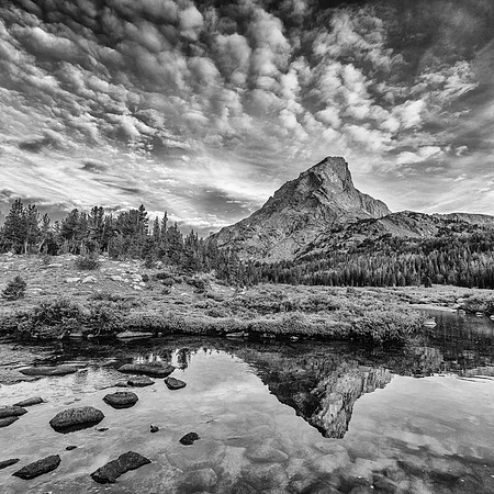 PopoAgieAug24BW