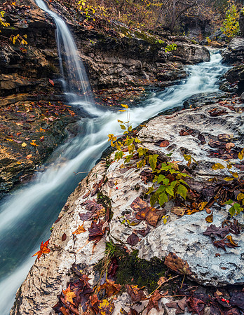 BroadwaterHollowOct19