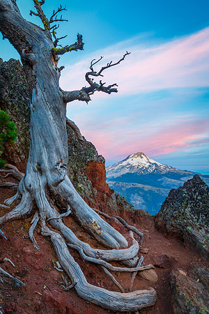 Mount Hood Overlook