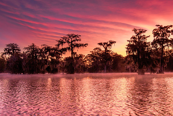 Dawn at Lake Martin, Louisiana