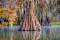 Lake Martin, Lousiana
