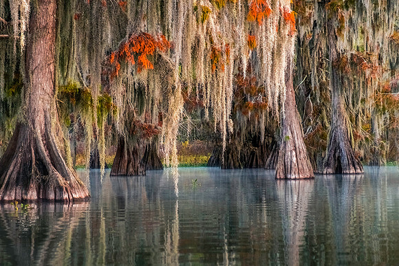 Lake Martin. Louisiana