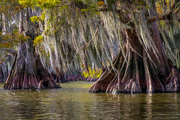 Lake Martin, Louisana