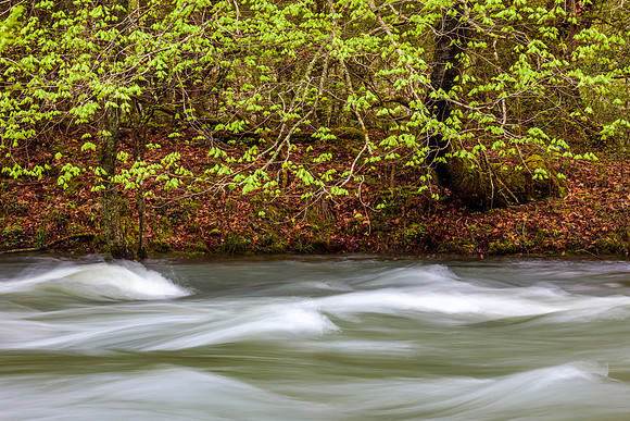 Mountain Fork River Oklahoma