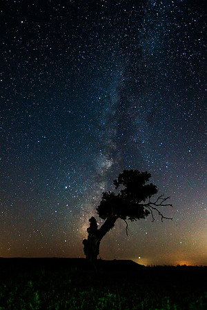 AtkinsTree