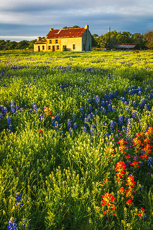 BluebonnetHouseWeb