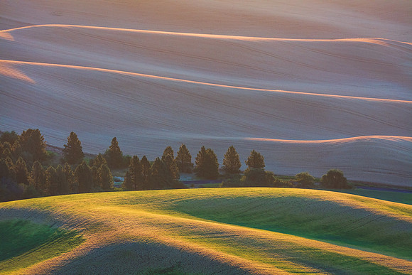 SteptoeButte205mmWeb